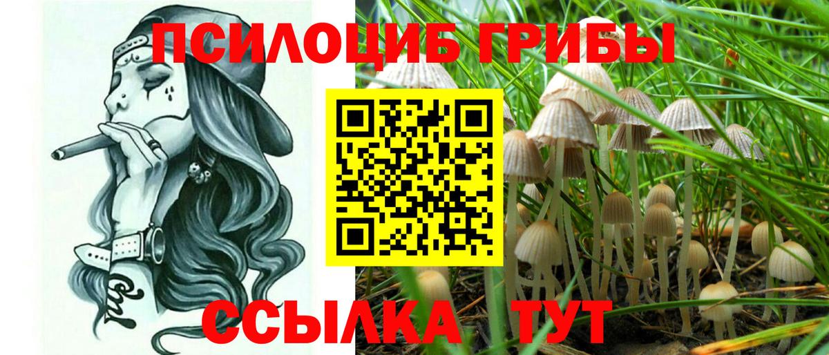 Галлюциногенные грибы Magic Shrooms Торжок